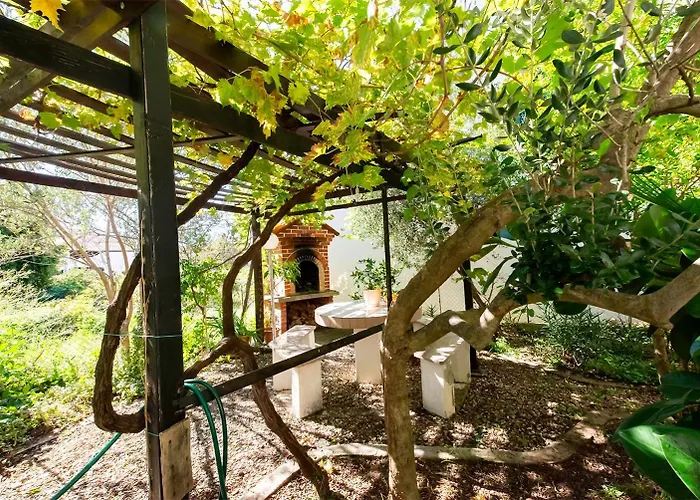 Breza * 诺瓦利娅